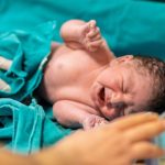 Feature and Cover A Biologist Explains Why Human Babies Are Born So Helpless Evolution's Strategic Tradeoff