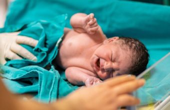 Feature and Cover A Biologist Explains Why Human Babies Are Born So Helpless Evolution's Strategic Tradeoff