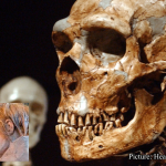 Health & Wellness Genetic Analysis Reveals New Details on Ancient Human and Neanderthal Couplings ABC News