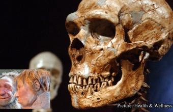 Health & Wellness Genetic Analysis Reveals New Details on Ancient Human and Neanderthal Couplings ABC News