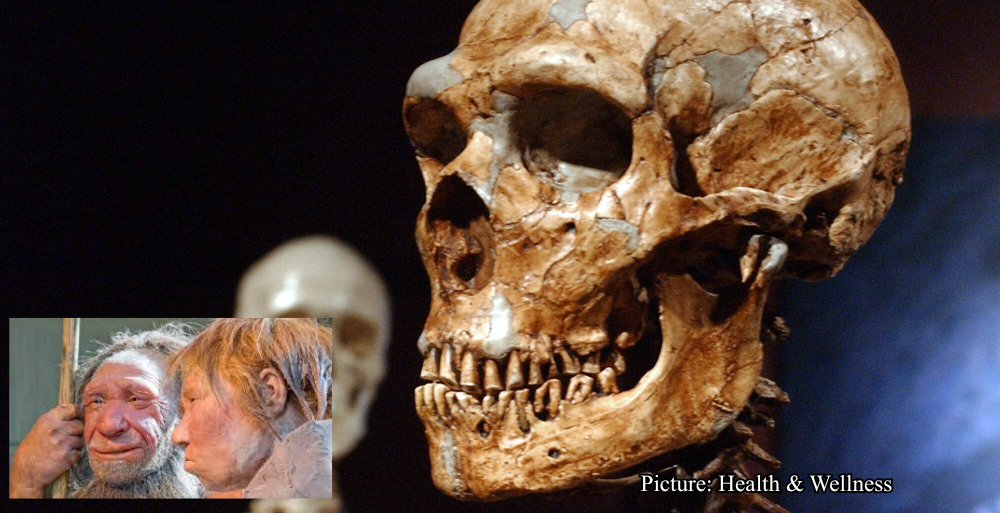 Health & Wellness Genetic Analysis Reveals New Details on Ancient Human and Neanderthal Couplings ABC News