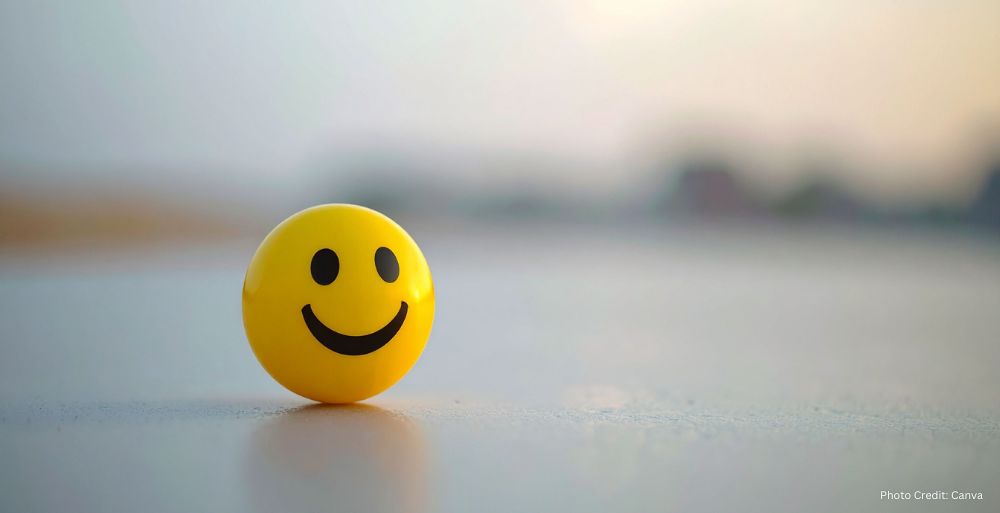 Psychological Frameworks for Sustaining Emotional Well Being and Resilience