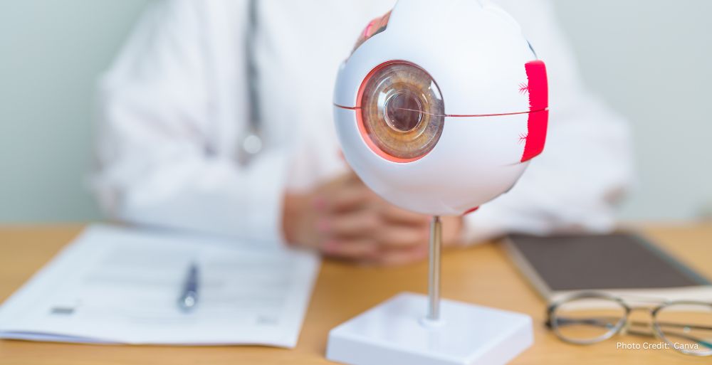 When Standing Meets Vision Posture Driven Retinal Signals Predict Diabetic Retinopathy Progression