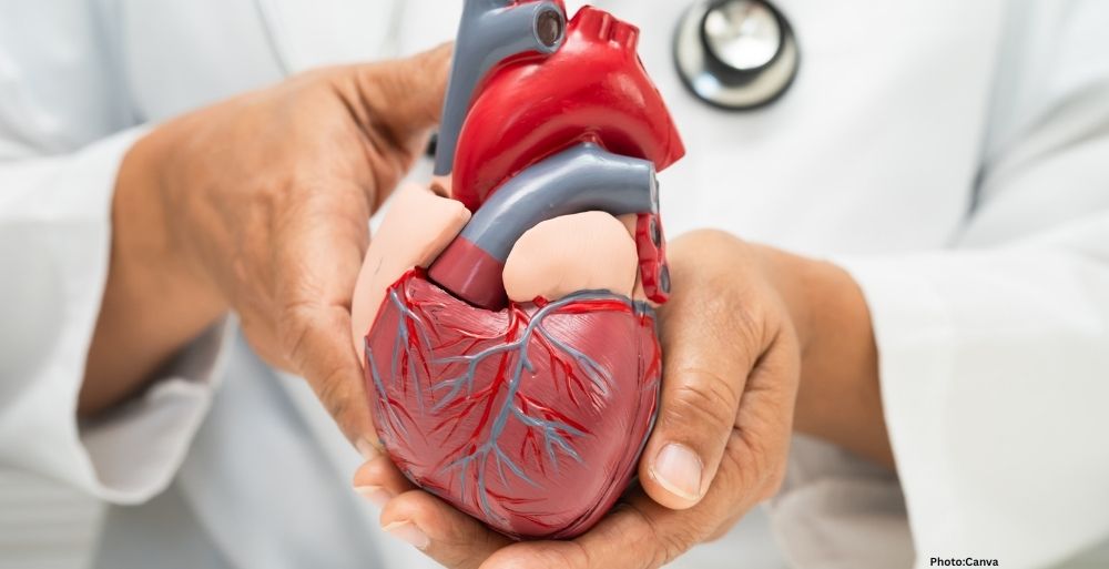 Feature and Cover The South Asian Heart Crisis Modern Science and the Strategy for Reclaiming Cardiovascular Health