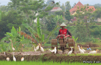 GNN Indigenous Farming Practices Offer Solutions Amidst Climate Change Challenges