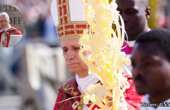 GNN Pope Leo XIV Emphasizes Peace and Condemns War During Palm Sunday Mass