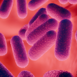 Research Uncovers Mechanism Used by Tuberculosis Bacteria to Evade Immune Response GNN Research Uncovers Mechanism Used by Tuberculosis Bacteria to Evade Immune Response