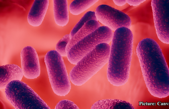 GNN Research Uncovers Mechanism Used by Tuberculosis Bacteria to Evade Immune Response