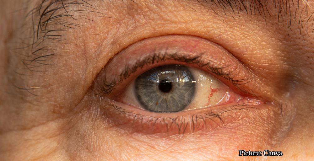 GNN Study Identifies Key Turning Point in Human Aging Around Age 50