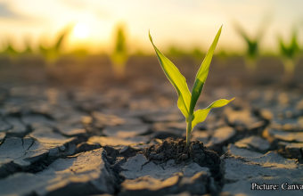 GNN Study Links Rising Temperatures to Increased Physical Inactivity and Health Risks (2)