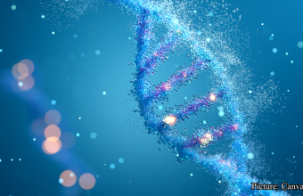 GNN Study Reveals Genetics May Account for Half of Human Lifespan Challenging Previous Estimates