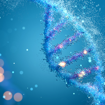 GNN Study Reveals Genetics May Account for Half of Human Lifespan Challenging Previous Estimates