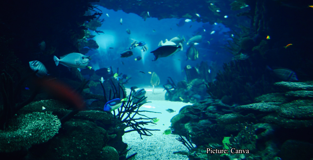 Health & Wellness Deep Sea Discovery in Morocco Challenges Long Held Beliefs on Ancient Life