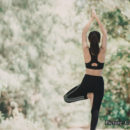 Health & Wellness The Modern Wellness Mandate How Day Yoga is Scaling the New Mindfulness Economy