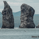 Health & Wellness The Rising Tide New Research Reveals Global Coastal Vulnerability Has Been Vastly Underestimated