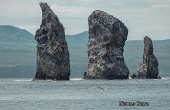 Health & Wellness The Rising Tide New Research Reveals Global Coastal Vulnerability Has Been Vastly Underestimated