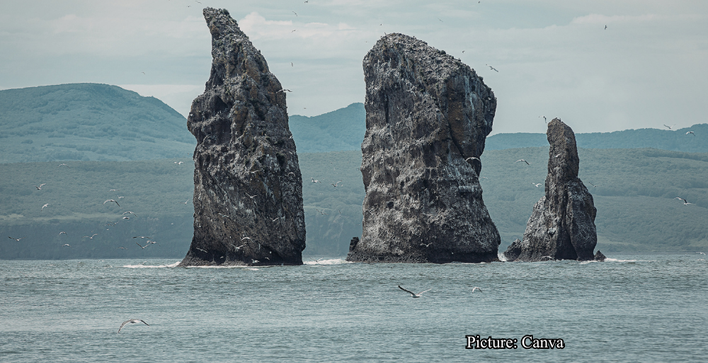 Health & Wellness The Rising Tide New Research Reveals Global Coastal Vulnerability Has Been Vastly Underestimated