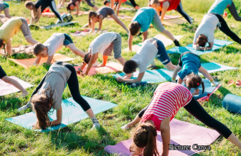 Health & Wellness The Transcendental Trap How Global Yoga Networks Masked a Decades Long Criminal Enterprise