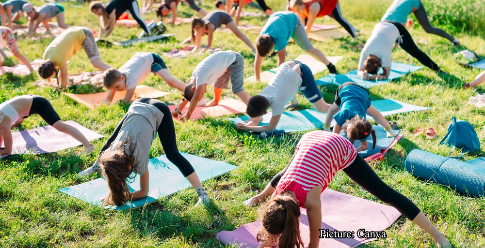 Health & Wellness The Transcendental Trap How Global Yoga Networks Masked a Decades Long Criminal Enterprise