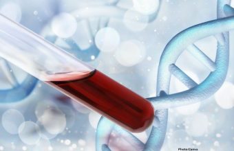 Photo Advancements in Sedimentary DNA Analysis Transform Understanding of Human Origins