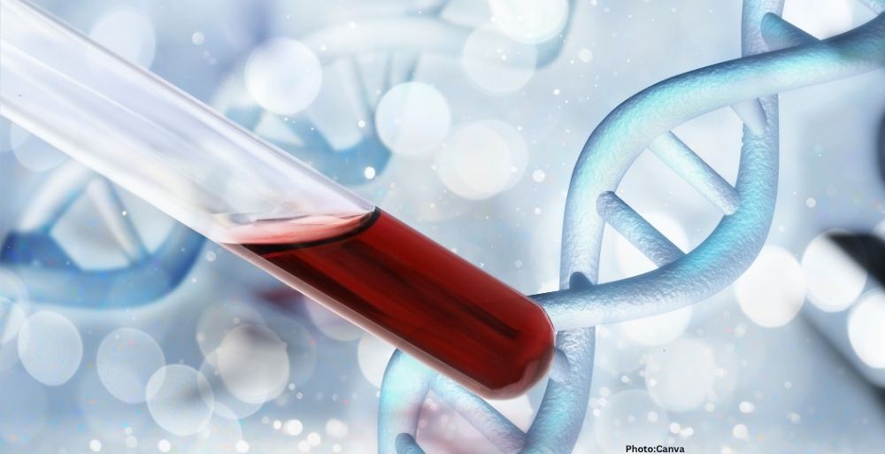 Photo Advancements in Sedimentary DNA Analysis Transform Understanding of Human Origins