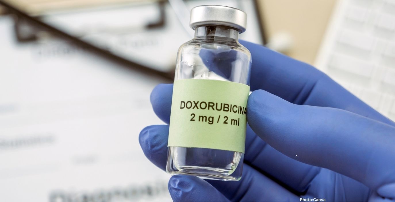Photo Breakthrough in Doxorubicin Production Enhances Cancer Treatment Manufacturing