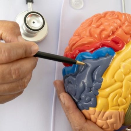 Photo German Researcher Discovers Brain's Navigational System Enhancing Understanding of Memory and Cognition