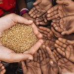 Photo Research Indicates Global Food Insecurity Could Nearly Triple if Temperatures Rise by 2C