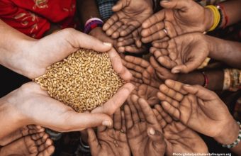 Photo Research Indicates Global Food Insecurity Could Nearly Triple if Temperatures Rise by 2C