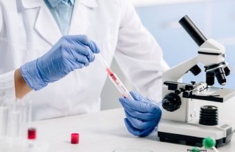 Photo Weizmann Institute Study Suggests Genetics Account for 50% of Human Lifespan