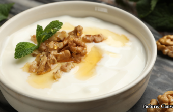 GNN Comparative Analysis of Cottage Cheese and Greek Yogurt Nutritional Insights and Health Implications