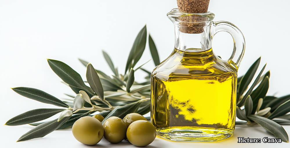 GNN Extra Virgin Olive Oil and Its Impact on Blood Pressure A Comprehensive Analysis