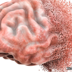 GNN Five Strategies to Enhance Memory Retention and Recall