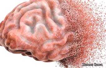 GNN Five Strategies to Enhance Memory Retention and Recall