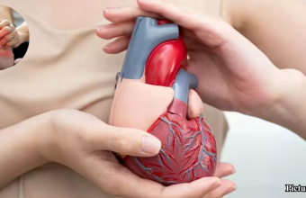 GNN Gout Medications Linked to Decreased Risk of Heart Attack and Stroke Study Finds