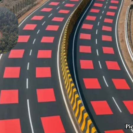 GNN India Launches Innovative 'Red Road' to Enhance Wildlife Safety on National Highway 45