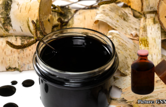 GNN Neanderthals Used Birch Tar as Antibacterial Treatment Study Reveals