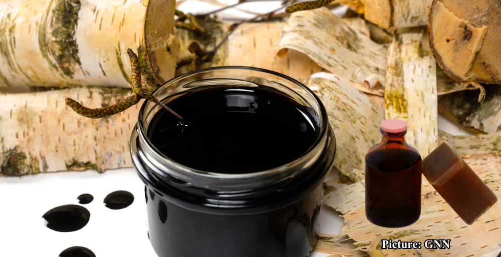 GNN Neanderthals Used Birch Tar as Antibacterial Treatment Study Reveals