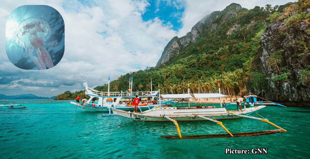 GNN Near Record Ocean Temperatures Signal Potential El Niño Transition Amid Hottest March on Record in the U S