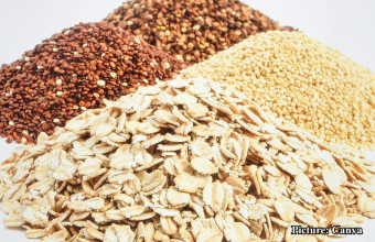 GNN Oats A Key Whole Grain for Alleviating Constipation and Promoting Digestive Health