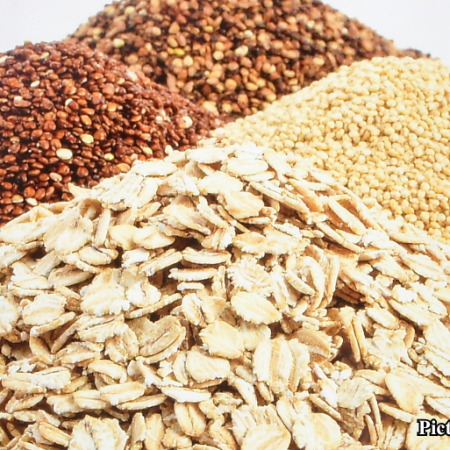 GNN Oats A Key Whole Grain for Alleviating Constipation and Promoting Digestive Health