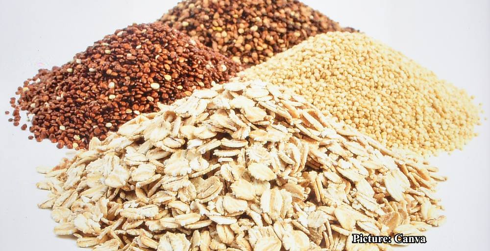 GNN Oats A Key Whole Grain for Alleviating Constipation and Promoting Digestive Health