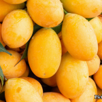 GNN Study Finds Daily Consumption of Avocado and Mango May Enhance Heart Health