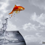 GNN Study Reveals Complex Genetic Pathways Behind Animal Life's Transition from Water to Land