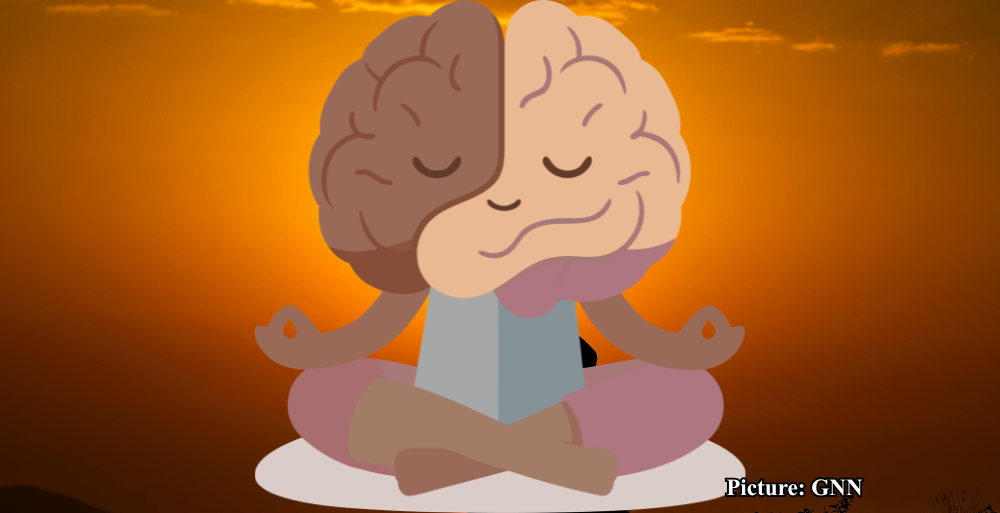 GNN Study Reveals Meditation Can Induce Significant Brain and Biological Changes in Just One Week