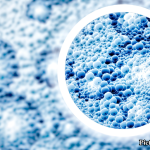 GNN Swiss Study Reveals Key Biological Differences Among Centenarians