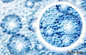 GNN Swiss Study Reveals Key Biological Differences Among Centenarians