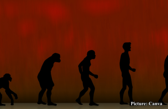 GNN The Human Body An Evolutionary Compromise Rather Than a Perfect Design