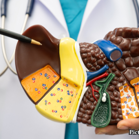 GNN UCLA Researchers Discover Mechanism to Reverse Fatty Liver Disease in Mice