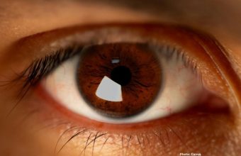 Photo Eight Foods to Enhance Eye Health A Comprehensive Guide